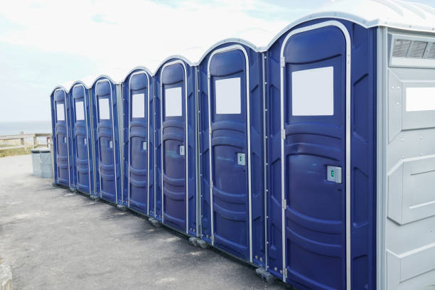 Portable Toilets for Parks and Recreation Areas in Carbon Cliff, IL